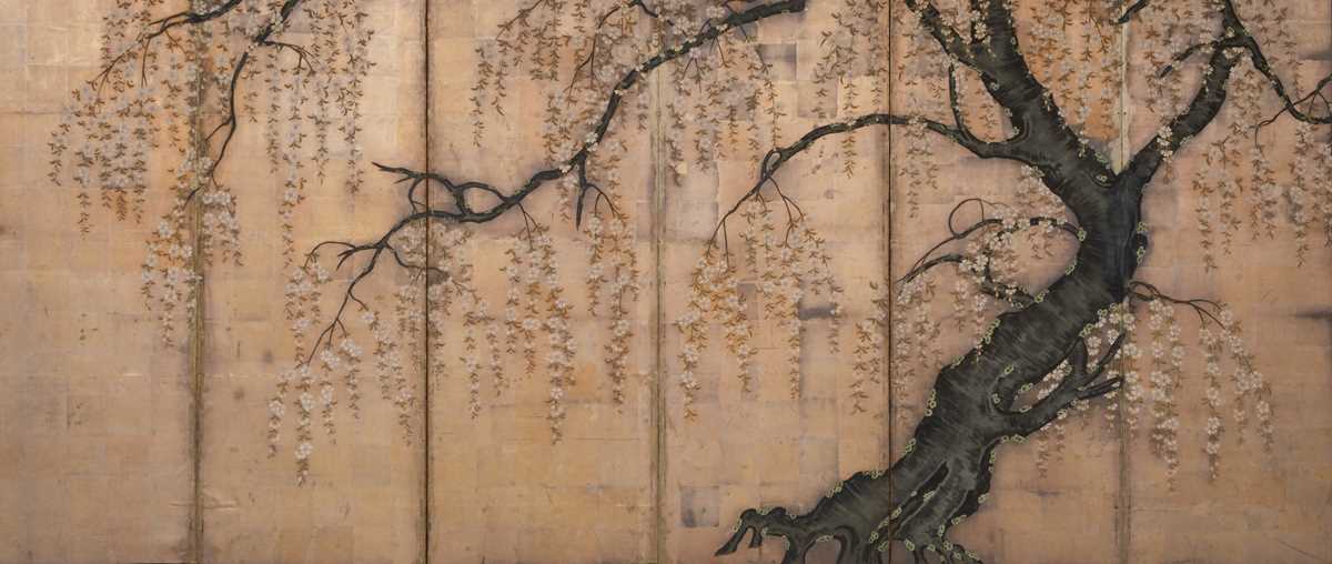 Lot 8 - A FINE RINPA SCHOOL SIX-PANEL BYOBU (FOLDING SCREEN) DEPICTING A WEEPING CHERRY TREE IN FULL BLOOM