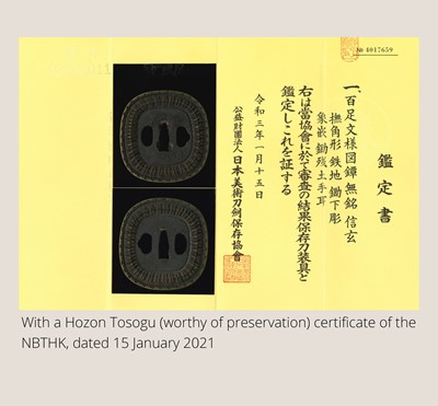 Lot 550 - A FINE IRON AND BRASS SHINGEN MUKADE TSUBA, WITH NBTHK HOZON TOSOGU CERTIFICATE