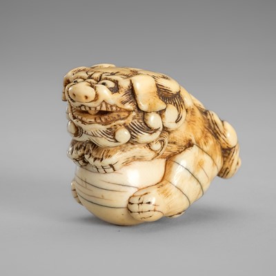 Lot 1563 - AN IVORY NETSUKE OF A SHISHI WITH BALL