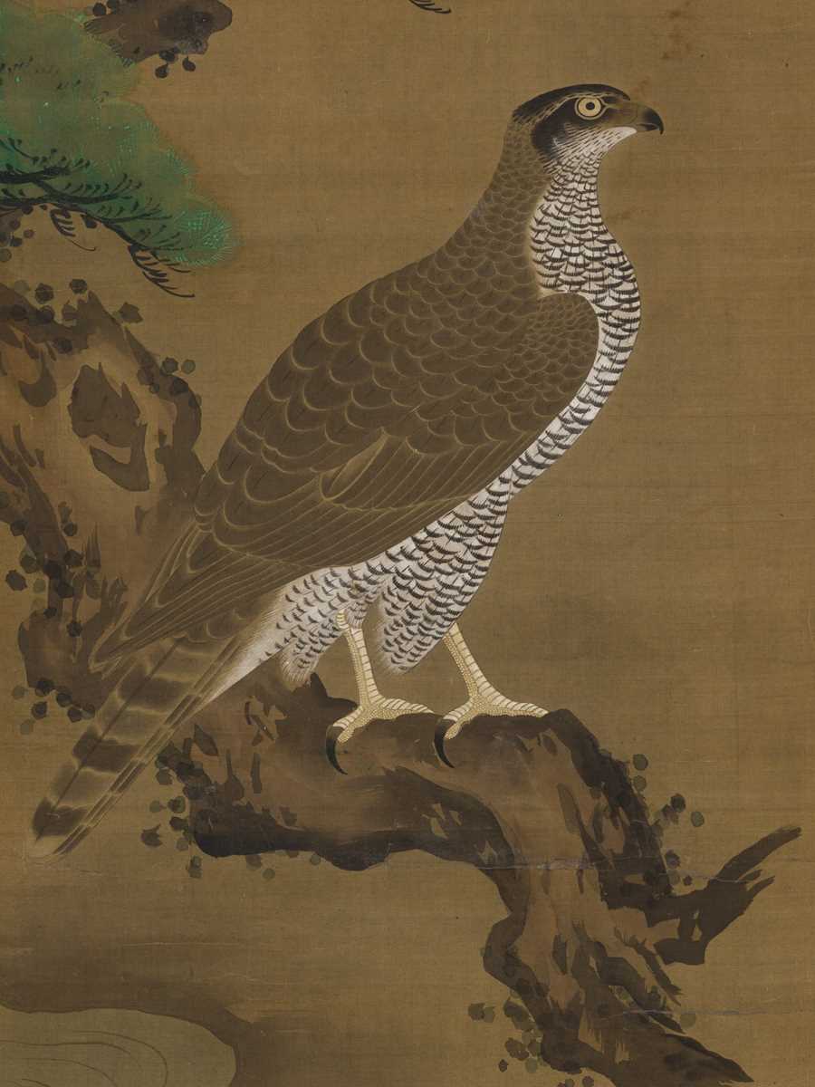 Lot 597 - MARUYAMA OKYO: FALCON ON A GNARLED PINE
