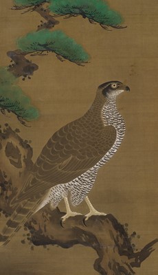 Lot 597 - MARUYAMA OKYO: FALCON ON A GNARLED PINE