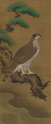 Lot 597 - MARUYAMA OKYO: FALCON ON A GNARLED PINE