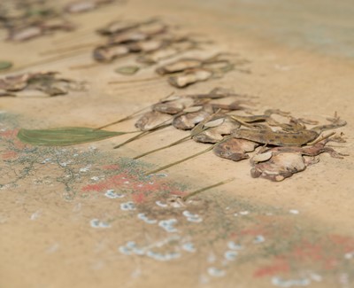 Lot 306 - OSAWA NAMPO: A HUMOROUS OSHI-E (PADDED SILK) PAINTING DEPICTING A FROG DAIMYO PROCESSION