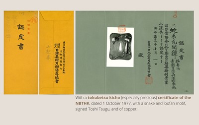 TOSHITSUGU: A SUPERB SUAKA TSUBA WITH A SNAKE AND LOOFAH GOURD, WITH NBTHK TOKUBETSU KICHO (ESPECIALLY PRECIOUS) CERTIFICATE