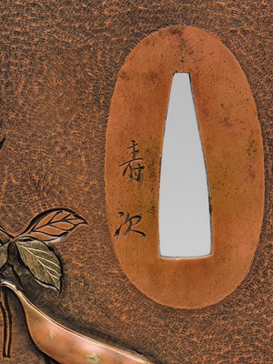 TOSHITSUGU: A SUPERB SUAKA TSUBA WITH A SNAKE AND LOOFAH GOURD, WITH NBTHK TOKUBETSU KICHO (ESPECIALLY PRECIOUS) CERTIFICATE