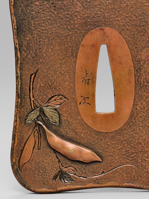 TOSHITSUGU: A SUPERB SUAKA TSUBA WITH A SNAKE AND LOOFAH GOURD, WITH NBTHK TOKUBETSU KICHO (ESPECIALLY PRECIOUS) CERTIFICATE