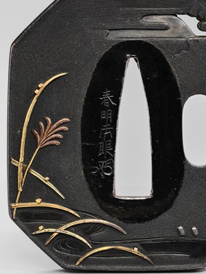 HARUAKI: A FINE ‘TANUKI HARA NO TSUZUMI’ SHAKUDO NANAKO TSUBA, WITH TOKUBETSO KICHO (ESPECIALLY PRECIOUS) NBTHK CERTIFICATE