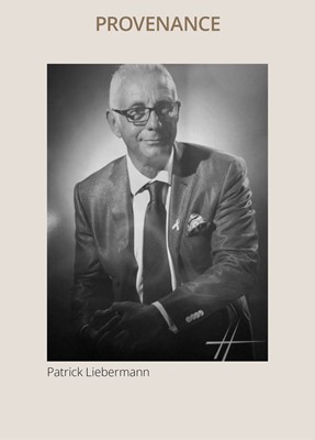 AN IRON HAMANO SCHOOL TSUBA DEPICTING A SNAIL ON AN OLD TREE, WITH HOZON TOSOGU NBTHK CERTIFICATE