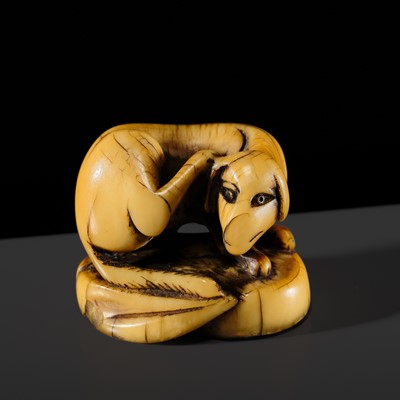 Lot 80 - AN EARLY IVORY INGYO (SEAL) NETSUKE OF A DOG