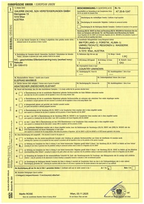 Lot 100 - A POWERFUL AND LARGE IVORY NETSUKE OF A BAKU