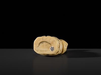 Lot 76 - A LARGE AND UNUSUAL SOLID WALRUS TUSK NETSUKE OF GAMA SENNIN