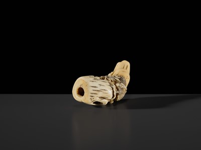 Lot 112 - A RARE KYOTO SCHOOL MARINE TOOTH NETSUKE OF A DRAGON AND TIGER