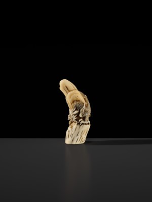 Lot 112 - A RARE KYOTO SCHOOL MARINE TOOTH NETSUKE OF A DRAGON AND TIGER