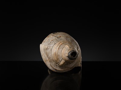 Lot 136 - A LARGE CONCH SHELL TRUMPET, HORAGAI, EDO PERIOD