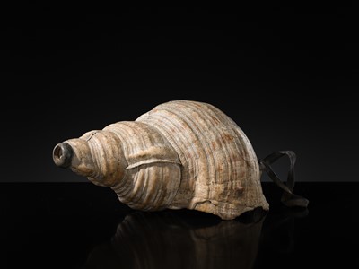 Lot 136 - A LARGE CONCH SHELL TRUMPET, HORAGAI, EDO PERIOD