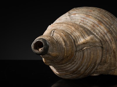Lot 136 - A LARGE CONCH SHELL TRUMPET, HORAGAI, EDO PERIOD