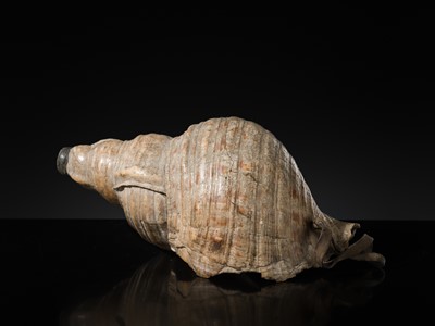 Lot 136 - A LARGE CONCH SHELL TRUMPET, HORAGAI, EDO PERIOD