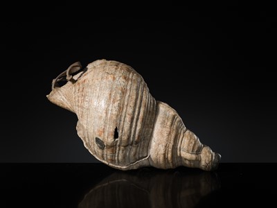 Lot 136 - A LARGE CONCH SHELL TRUMPET, HORAGAI, EDO PERIOD