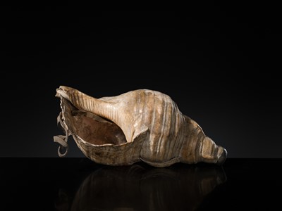 Lot 136 - A LARGE CONCH SHELL TRUMPET, HORAGAI, EDO PERIOD