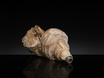 Lot 136 - A LARGE CONCH SHELL TRUMPET, HORAGAI, EDO PERIOD