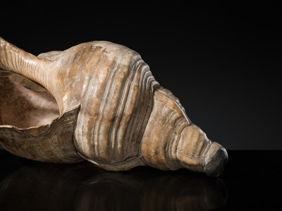 Lot 136 - A LARGE CONCH SHELL TRUMPET, HORAGAI, EDO PERIOD