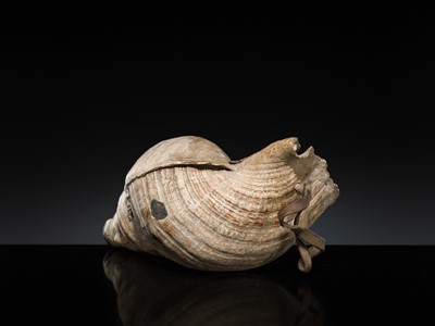 Lot 136 - A LARGE CONCH SHELL TRUMPET, HORAGAI, EDO PERIOD