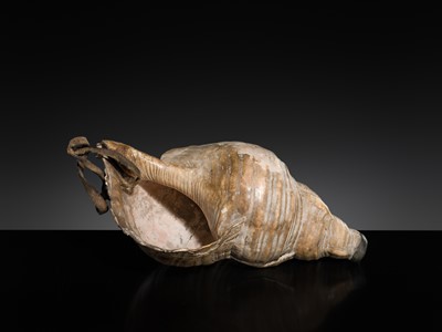 Lot 136 - A LARGE CONCH SHELL TRUMPET, HORAGAI, EDO PERIOD