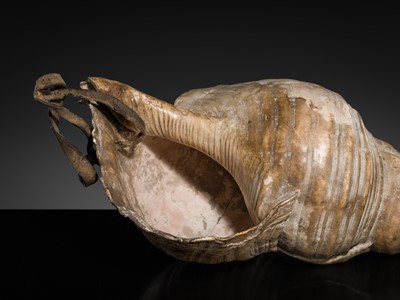 Lot 136 - A LARGE CONCH SHELL TRUMPET, HORAGAI, EDO PERIOD