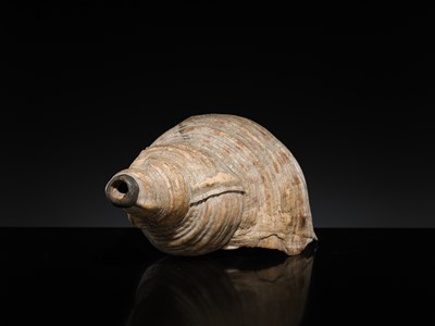 Lot 136 - A LARGE CONCH SHELL TRUMPET, HORAGAI, EDO PERIOD