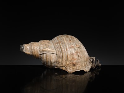 Lot 136 - A LARGE CONCH SHELL TRUMPET, HORAGAI, EDO PERIOD