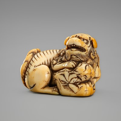 AN IVORY NETSUKE OF A SHISHI WITH BAG, 18TH CENTURY