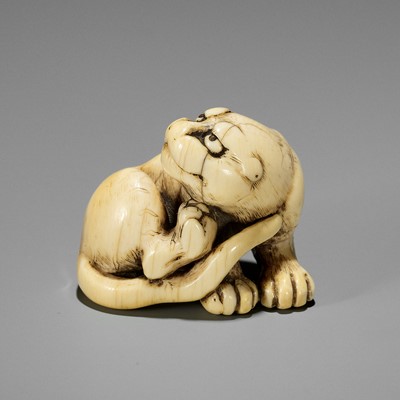Lot 110 - TOMOTADA: A GOOD IVORY NETSUKE OF A TIGER