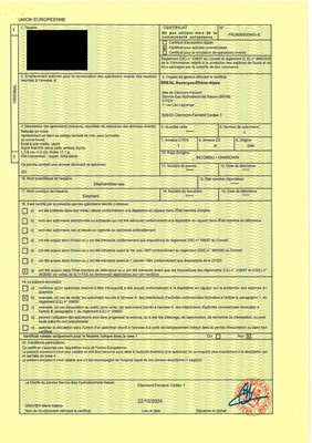 Lot 120 - RANICHI: A FINE IVORY NETSUKE OF A PIEBALD HARE WITH AMBER EYES