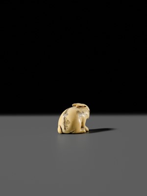 Lot 120 - RANICHI: A FINE IVORY NETSUKE OF A PIEBALD HARE WITH AMBER EYES
