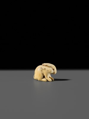 Lot 120 - RANICHI: A FINE IVORY NETSUKE OF A PIEBALD HARE WITH AMBER EYES