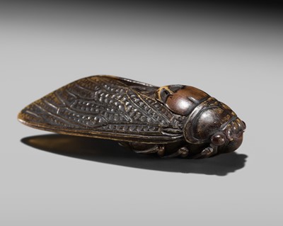 Lot 171 - MASAYOSHI: A RARE BUFFALO HORN NETSUKE OF A CICADA