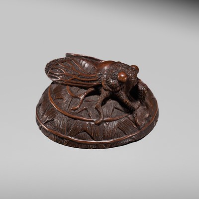 Lot 174 - HARUMITSU: A FINE WOOD NETSUKE OF A CICADA ON A STRAW HAT