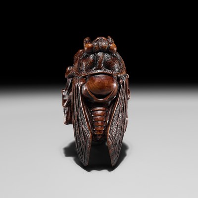 Lot 173 - HARUMITSU: A SUPERB WOOD NETSUKE OF A CICADA ON A BRANCH