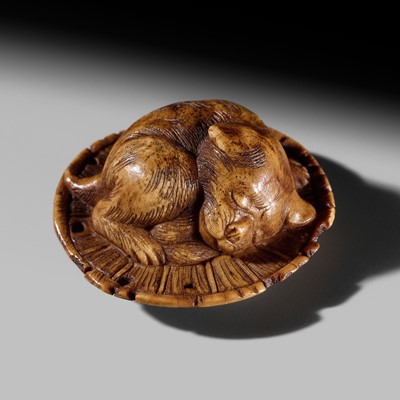 A CHARMING ANTLER NETSUKE OF A PUPPY SLEEPING ON A STRAW HAT