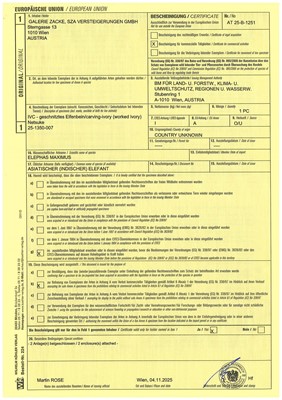 Lot 114 - A POWERFUL KYOTO SCHOOL IVORY NETSUKE OF A DRAGON AND TAMA PEARL