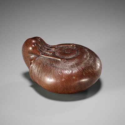 Lot 221 - A FINE NAGOYA SCHOOL WOOD NETSUKE OF A SNAIL EMERGING FROM ITS SHELL