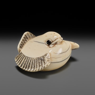 AN IVORY NETSUKE OF A FUKURA SUZUME (PUFFED-UP SPARROW)