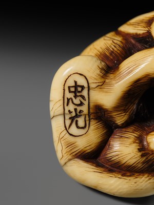 Lot 108 - TADAMITSU: A SUPERB AND RARE KYOTO SCHOOL IVORY NETSUKE OF A TIGER