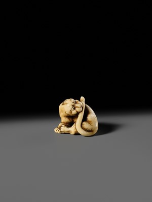 Lot 108 - TADAMITSU: A SUPERB AND RARE KYOTO SCHOOL IVORY NETSUKE OF A TIGER