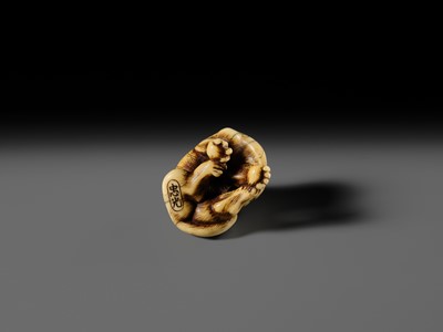 Lot 108 - TADAMITSU: A SUPERB AND RARE KYOTO SCHOOL IVORY NETSUKE OF A TIGER