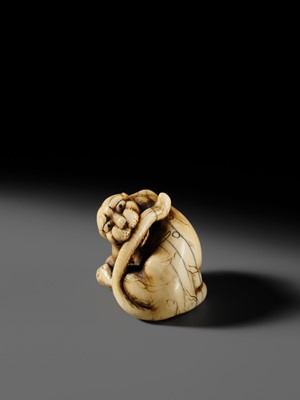 Lot 108 - TADAMITSU: A SUPERB AND RARE KYOTO SCHOOL IVORY NETSUKE OF A TIGER