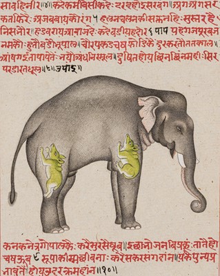 Lot 601 - A MINIATURE PAINTING OF AN ELEPHANT FOR AN ILLUSTRATED VETERINARIAN TREATISE, 18TH-19TH CENTURY