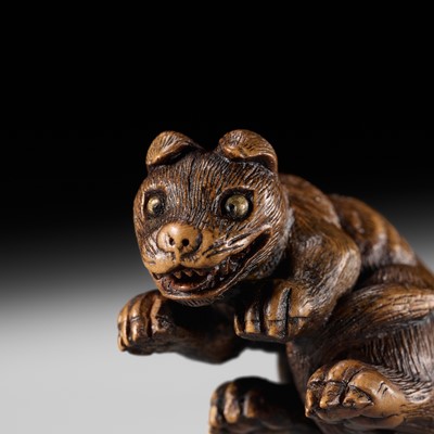 A FINE WOOD NETSUKE DEPICTING A YOUNG WOLF