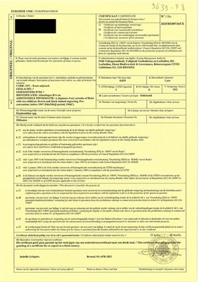 Lot 135 - A FINE OSAKA SCHOOL IVORY NETSUKE OF HOTEI WITH TWO BOYS, ATTRIBUTED TO HIDEMASA