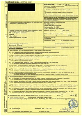 Lot 133 - HIDEMASA: A FINE IVORY NETSUKE OF A COURTIER